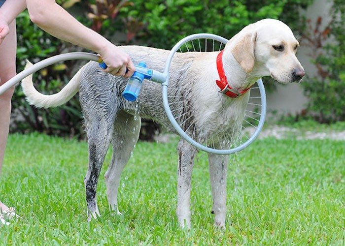 360-Degree Pet Shower Kit