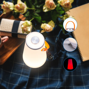 Portable Touch Lamp